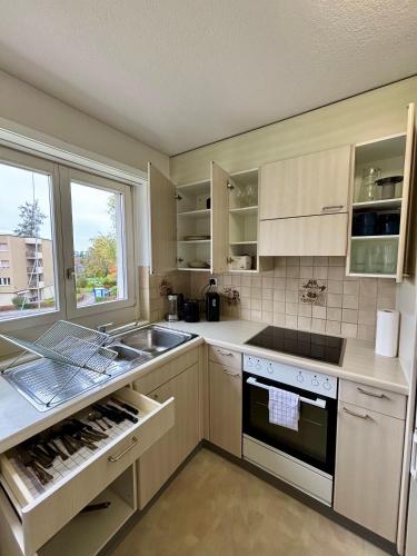 Simple and Cozy Flat in Zurich, Curych (fotografie 10)