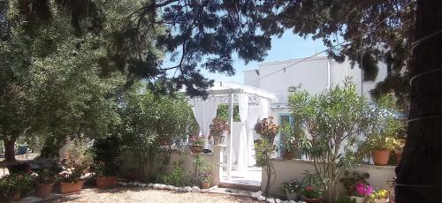 Bellaterra, Carovigno