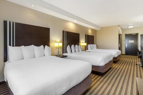 Suite with Three Queen beds