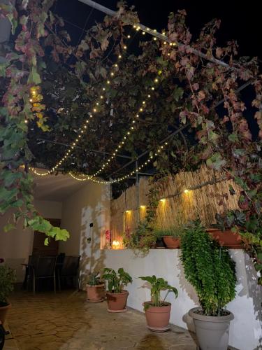 Stou Stefani in 阿格羅斯