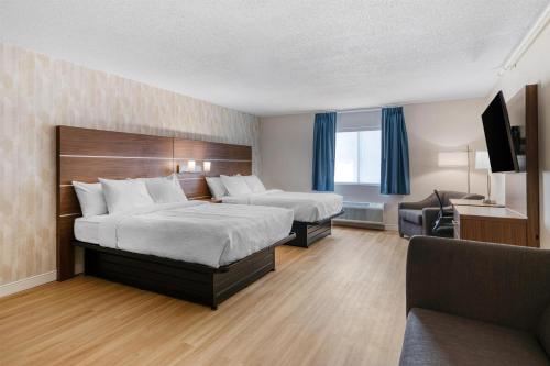 2 queen beds, 1 sofa bed