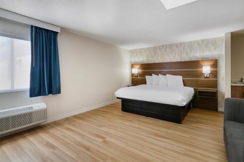 1 king bed, 1 sofa bed