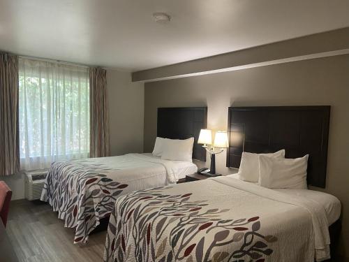 Comfort Inn - image 7
