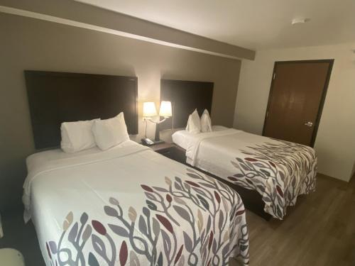 Comfort Inn - image 9