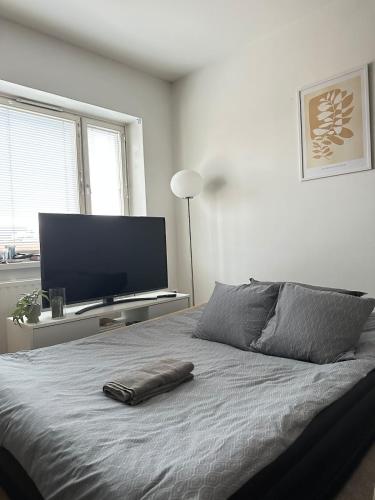 Beautiful studio in the city center in 코우볼라