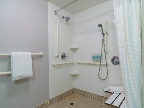 King Room with Sofa Bed and Roll-in Shower - Mobility and Hearing Accessible