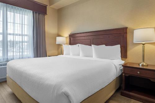 . Best Western Plus Fredericton Hotel & Suites