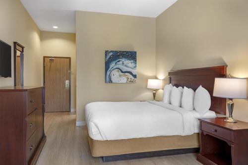 1 queen bed