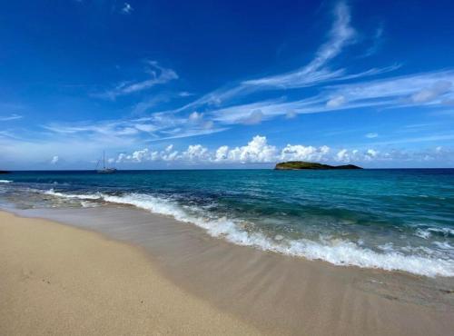 Green Cay - Walk to the Beach - King Bed - AC in 세인트 크로이 섬