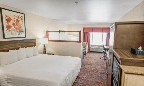 Crystal Inn Hotel & Suites - Salt Lake City - image 4