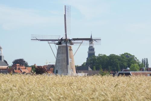 Erve Höwerboer - image 14
