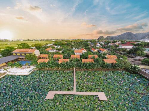 Ninh Binh Royal Homestay - Ninh Bình