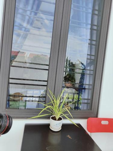 Nim villa, Hội An (photo 7)