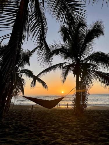 Etang Salé les bains - Corail Cosy - Location saisonnière - L'Étang-Salé