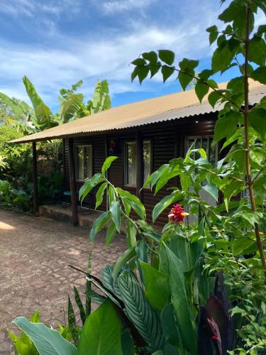 Cabañas Paraíso Iguazú