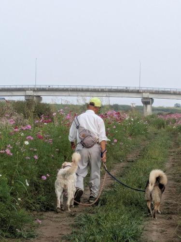 民泊サライ七城, Kikuchi (foto 8)