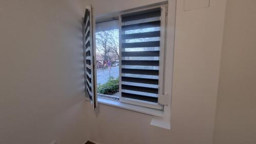 Skats, Stan na dan Bor Apartman in Bora