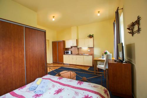Yellow Ski Apartments - image 8
