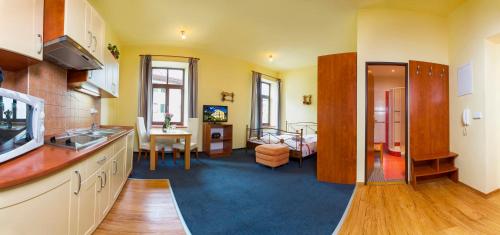 Yellow Ski Apartments - image 11