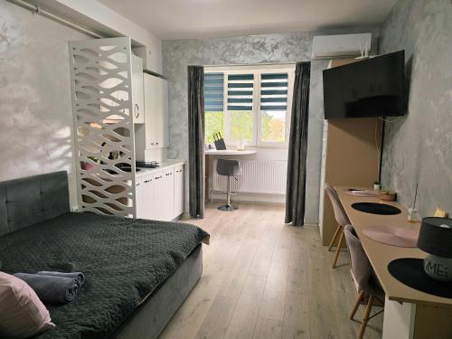 Modern Studio 4, Onești (foto 3)