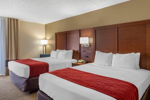 . Comfort Inn & Suites Rochelle - DeKalb