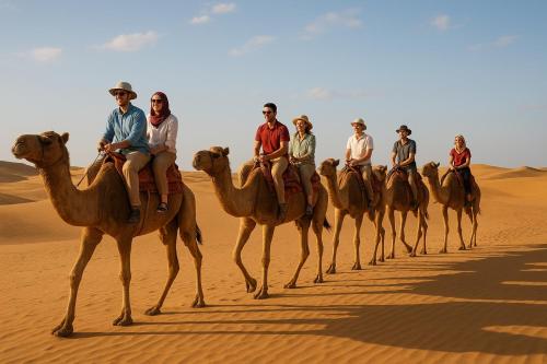 Sam Desert Safari Camp Jaisalmer - Luxury Desert Camp - image 4