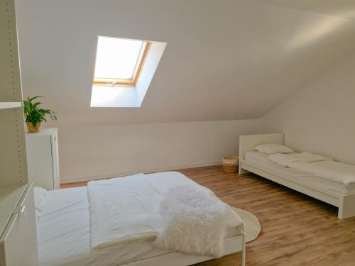 Apartament Nadwarciański (Apartament Nadwarcianski) in Srem
