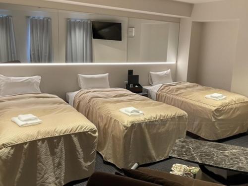 Hotel Livemax Nara Ekimae in Nara
