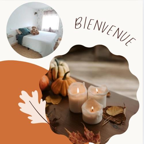 Le Nid Douillet à 1h de Paris-Gare à 5 min à pied, logement entier