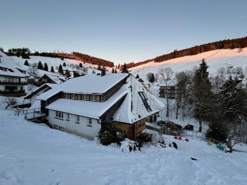 Berghof Almzeit - Fewo "Philosophenstüble", Sauna, Todtnauberg, Feldberg