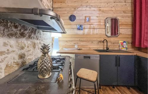 virtuve, Amazing Home In Salazac in Salazac
