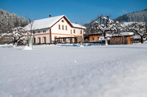 Apartman Kamenny Dum in Jilemnice