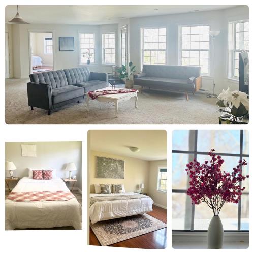 . Cozy guest suite in the heart of Fredericton