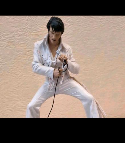 Elvis Home in 比紹夫斯海姆a.d.力弘