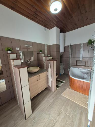 ห้องน้ำ, Vidám Vándor Vendégház (Vidam Vandor Vendeghaz) in ปารัด