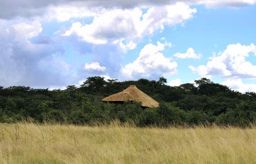 Gwango Elephant Lodge