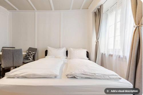 City Center Apt With AC in Zurich Old Town, Zúrich (foto 4)