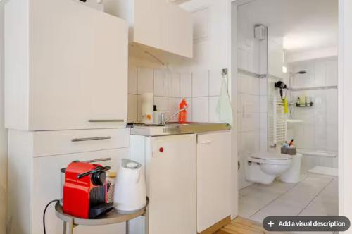 City Center Apt With AC in Zurich Old Town, Zúrich (foto 7)