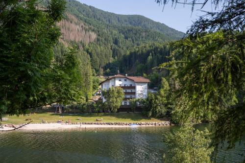 Active Hotel Pineta 4