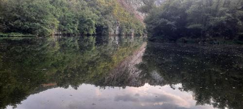 APARTMAN studio DADO - Apartment - Užice