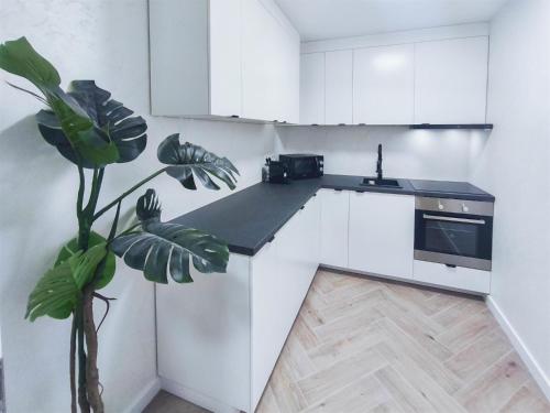 ALFA Stuttgart Doppelzimmer mit Teeküche und Terrasse Porsche Bosch l Gemeinschaftsbad WIFI SmartTV l Double room with kitchenette and terrace l shared bathroom BS21A5, Stoccarda (foto 8)