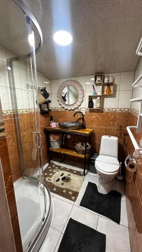 Казковий дім з чаном-джакузі,басейн, Slavske (fotografie 10)
