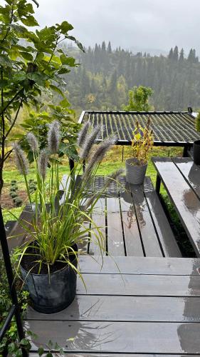 Карпатське Hygge котедж для двох з чаном-джакузі у горах, Slavske (foto 4)