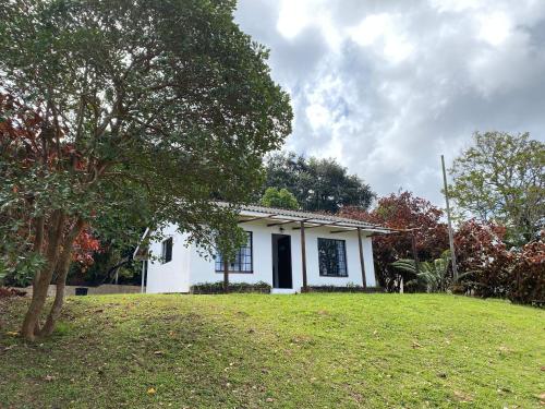Luxury modern farm cottage with sea view – khách sạn tại Trafalgar