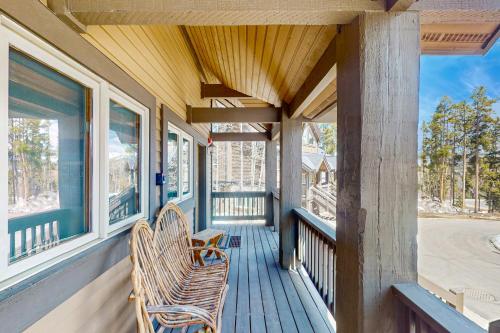 Saddlewood Iliff #33 in Four O'Clock