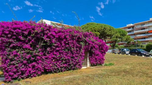 Esterno, Casalionelantibes in Laval