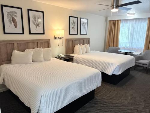 雪松小屋 (Cedar Lodge) in 埃爾波爾托