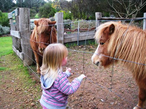 Pemberton Lake View Chalets