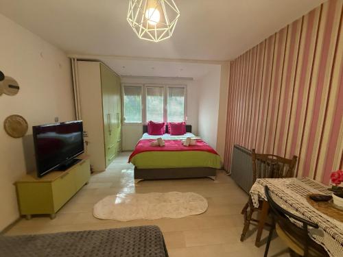 Apartman Lily, Skopje (photo 5)