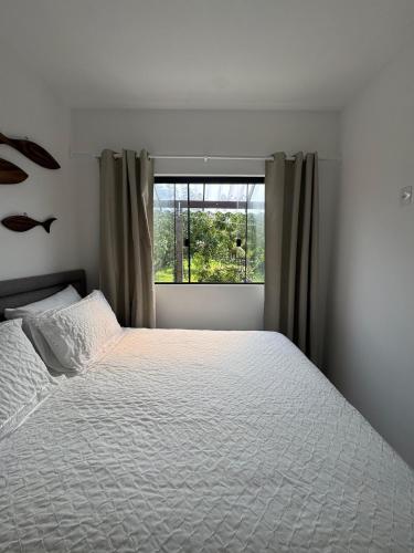 Studio Lopes in Pedrita